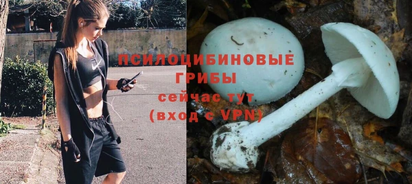 МДМА Алексин